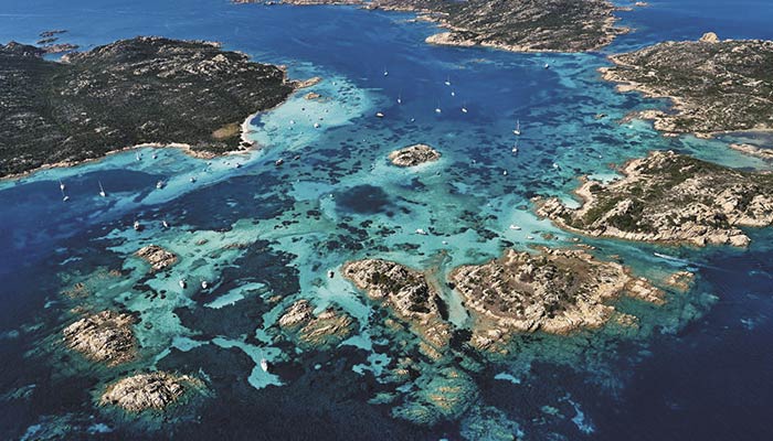 Arcipelago della maddalena Sardegna Vacanza - Il giglio di mare