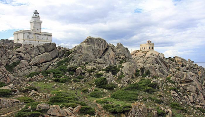 Faro Capotesta Sardegna Vacanze Il giglio di mare