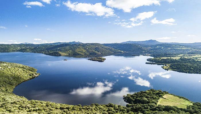 Lago liscia Sardegna - Il giglio di mare