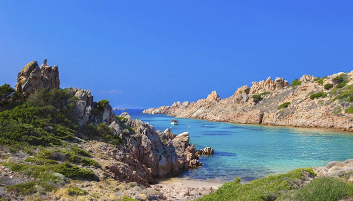 Razzoli Sardegna Vacanza - Il giglio di mare