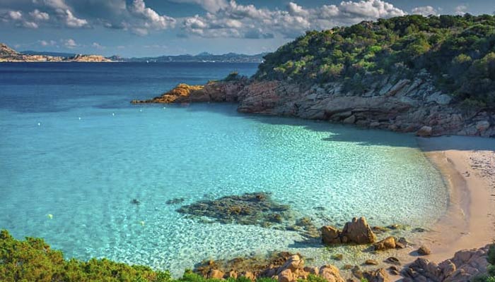 Spargi Sardegna - Il giglio di mare