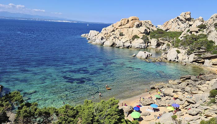 Spiaggia Cala spinosa Sardegna - Il giglio di mare
