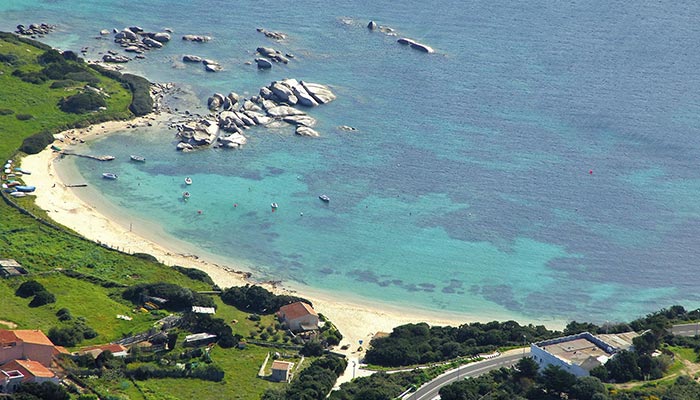 Spiaggia di Santa Reparata Sardegna - Il giglio di mare