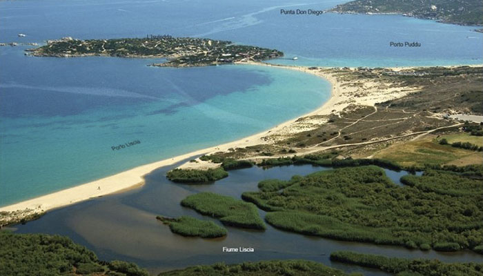 Spiaggia porto liscia Il giglio di mare Sardegna