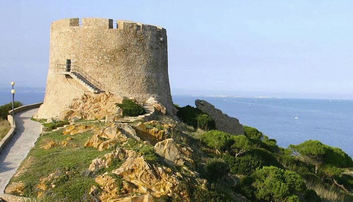 Torre di Longosardo Sardegna Vacanze Il giglio di mare
