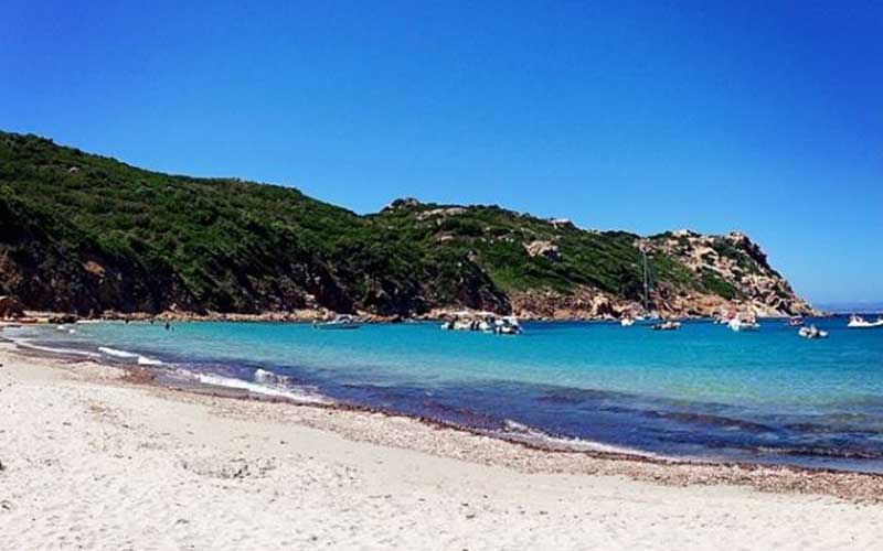 Cala Balcaccia Il giglio di mare Sardegna