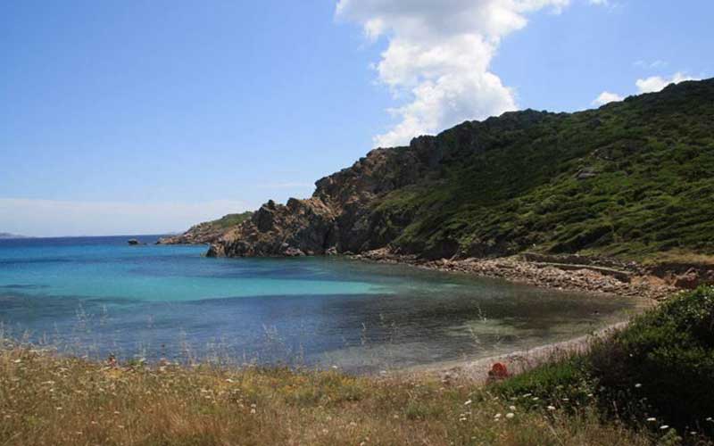 Cala Sambuco Il giglio di mare Sardegna