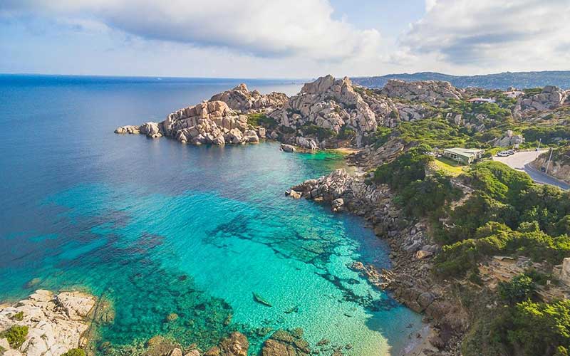 Capo Testa Il giglio di mare Sardegna