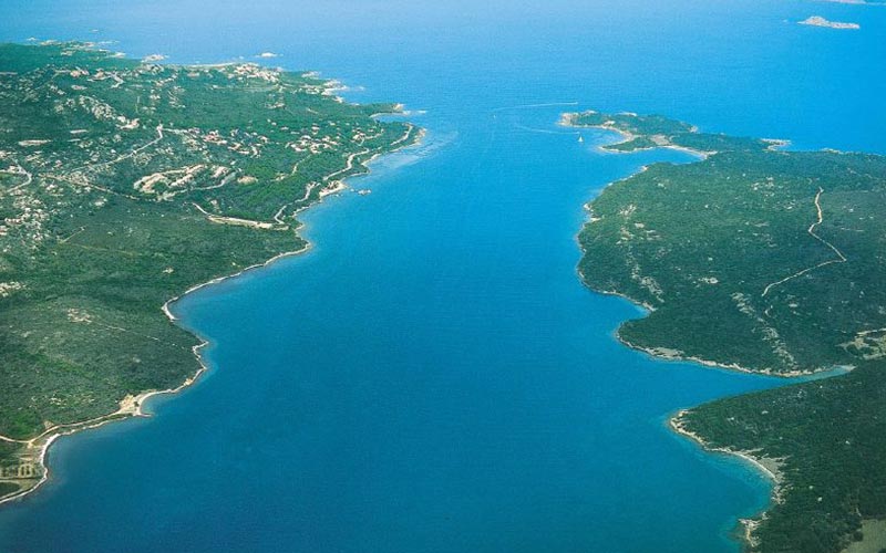 Fiordo Porto Pozzo Il giglio di mare