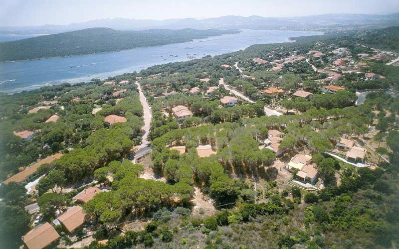 Il Fiordo Porto Pozzo Il giglio di mare