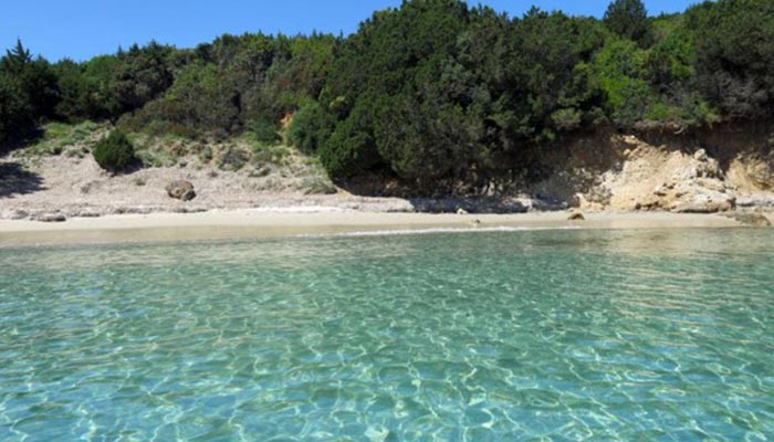 Il giglio di mare La conca verde