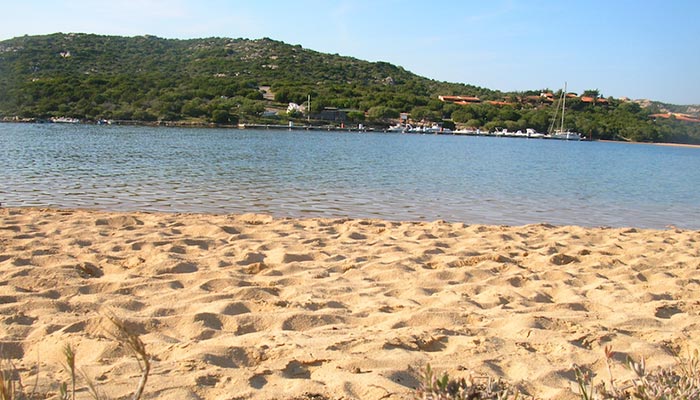 Il giglio di mare Spiaggia Porto Pozzo