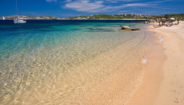 Il giglio di mare la spiaggia isolotto