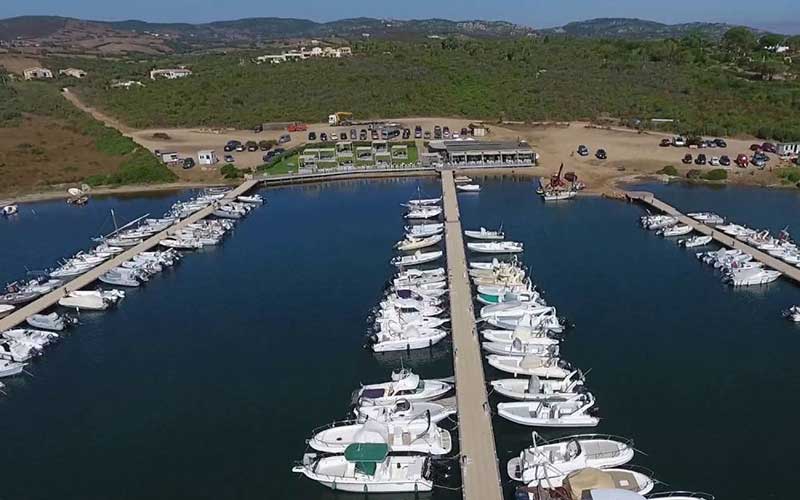 Il porto di Porto Pozzo in Sardegna Il giglio di mare