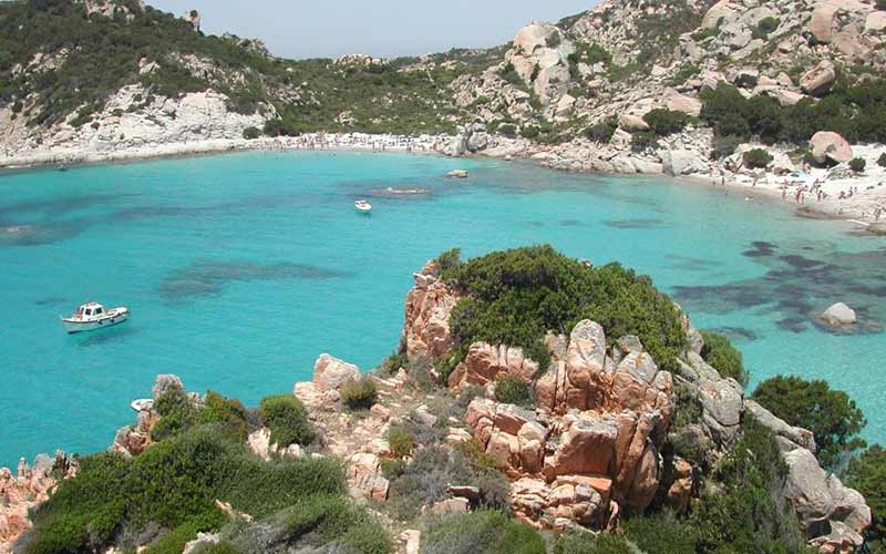 La Baia di Ulisse a Porto Pozzo Il giglio di mare