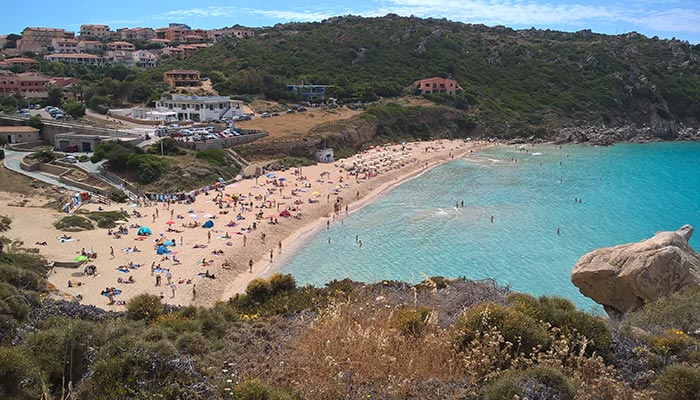 La Rena Bianca Sardegna Il gilgio di mare