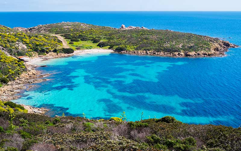 La Spiaggia di Cala Sabina Golfo di Marinella Il giglio di mare