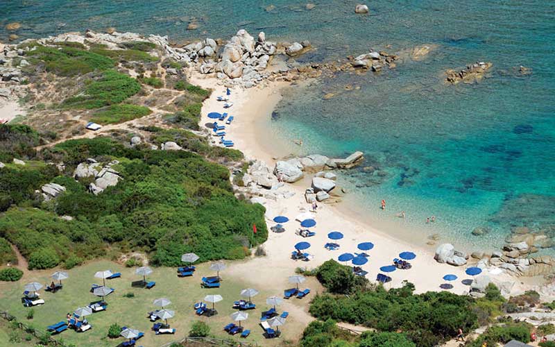 La licciola Il giglio di mare Sardegna