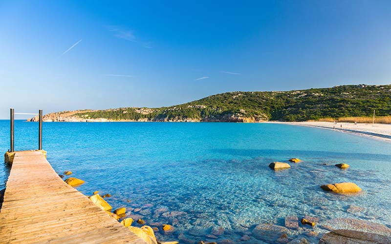 La marmorata Santa Teresa Gallura Il giglio di mare