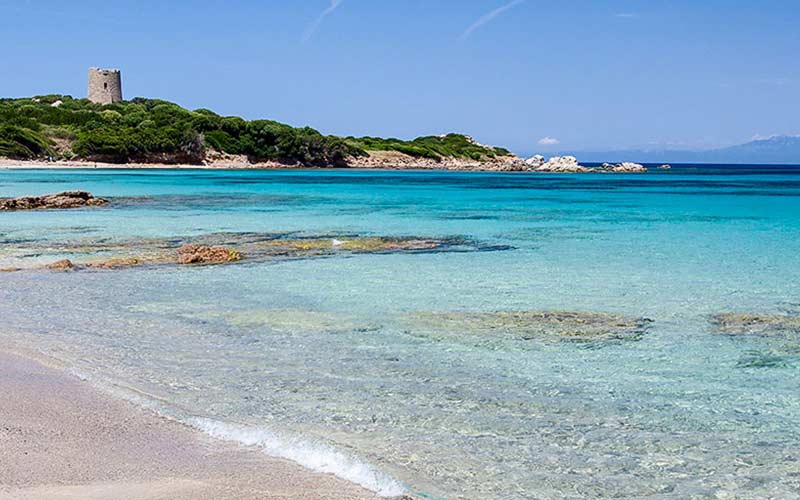 Litorale di vignola Il giglio di mare Sardegna