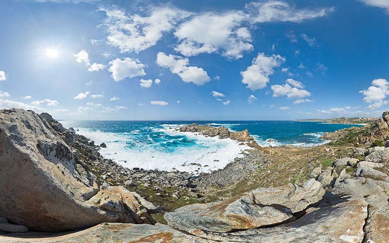 Penisola di municca e minichedda Il giglio di mare