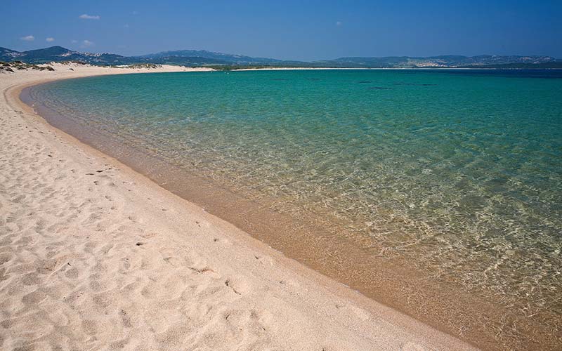 Porto Liscia Santa Teresa Gallura Il giglio di mare