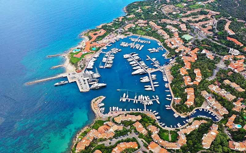 Porto Rotondo Golfo di Marinella Il giglio di mare