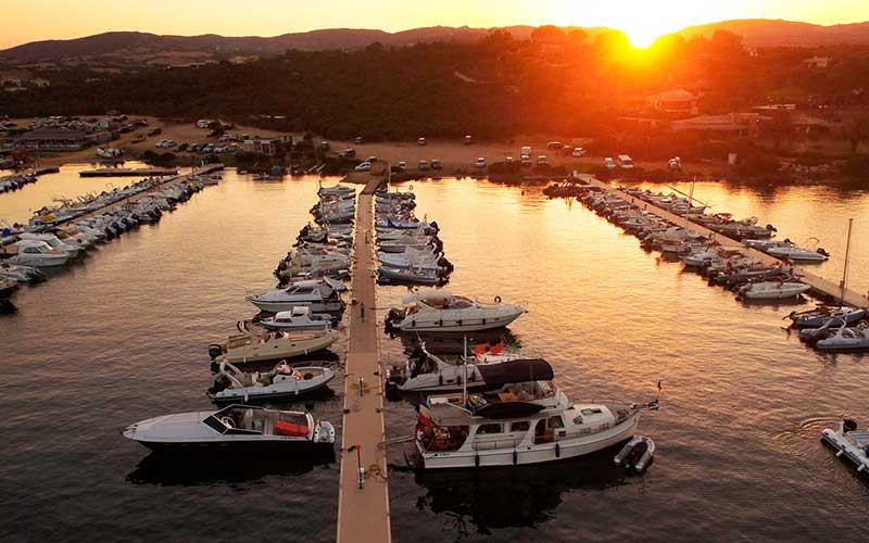 Porto di Porto Pozzo in Sardegna Il giglio di mare