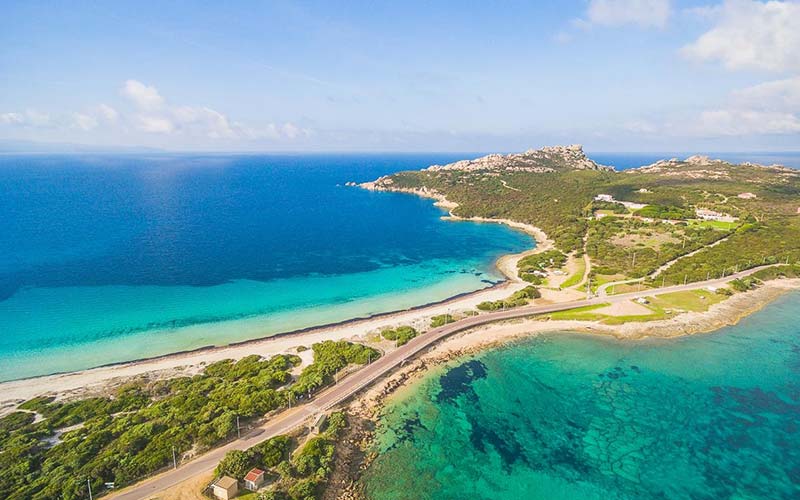 Rena di Ponente e di Levante Santa Teresa di Gallura Il giglio di mare