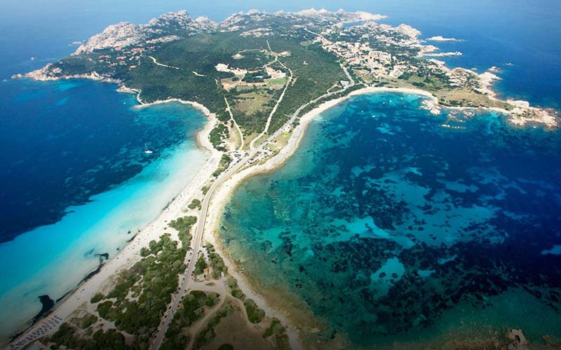 Rena di Ponente e di Levante Santa Teresa di Gallura Il giglio di mare