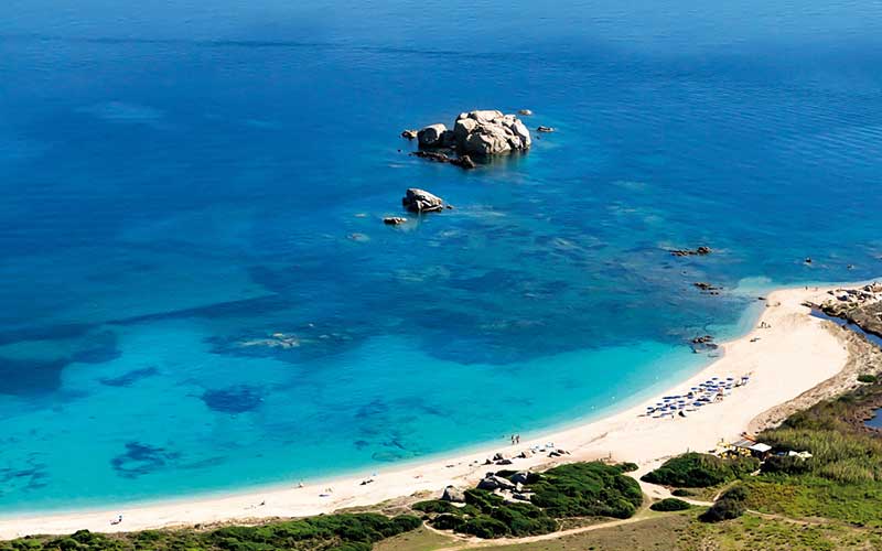 Valle dell erica Il giglio di mare Sardegna